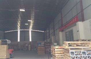 白云區石井大型外貿倉庫 一站式貨柜內裝與物流倉儲服務解析